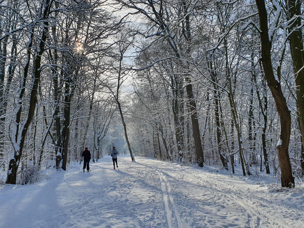 Winter in Bremen