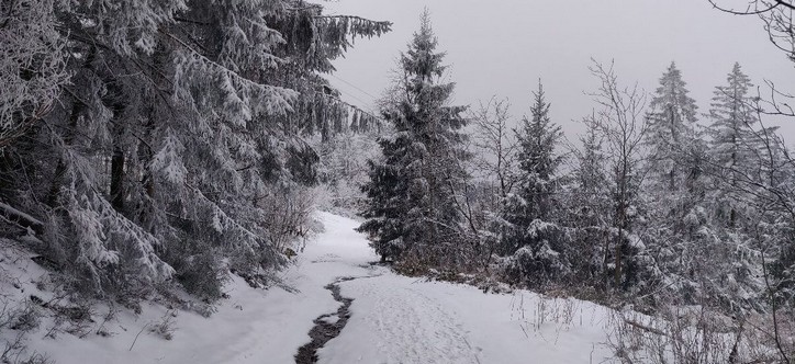 Bremer Skiclub-Champery_Skireise Familie 